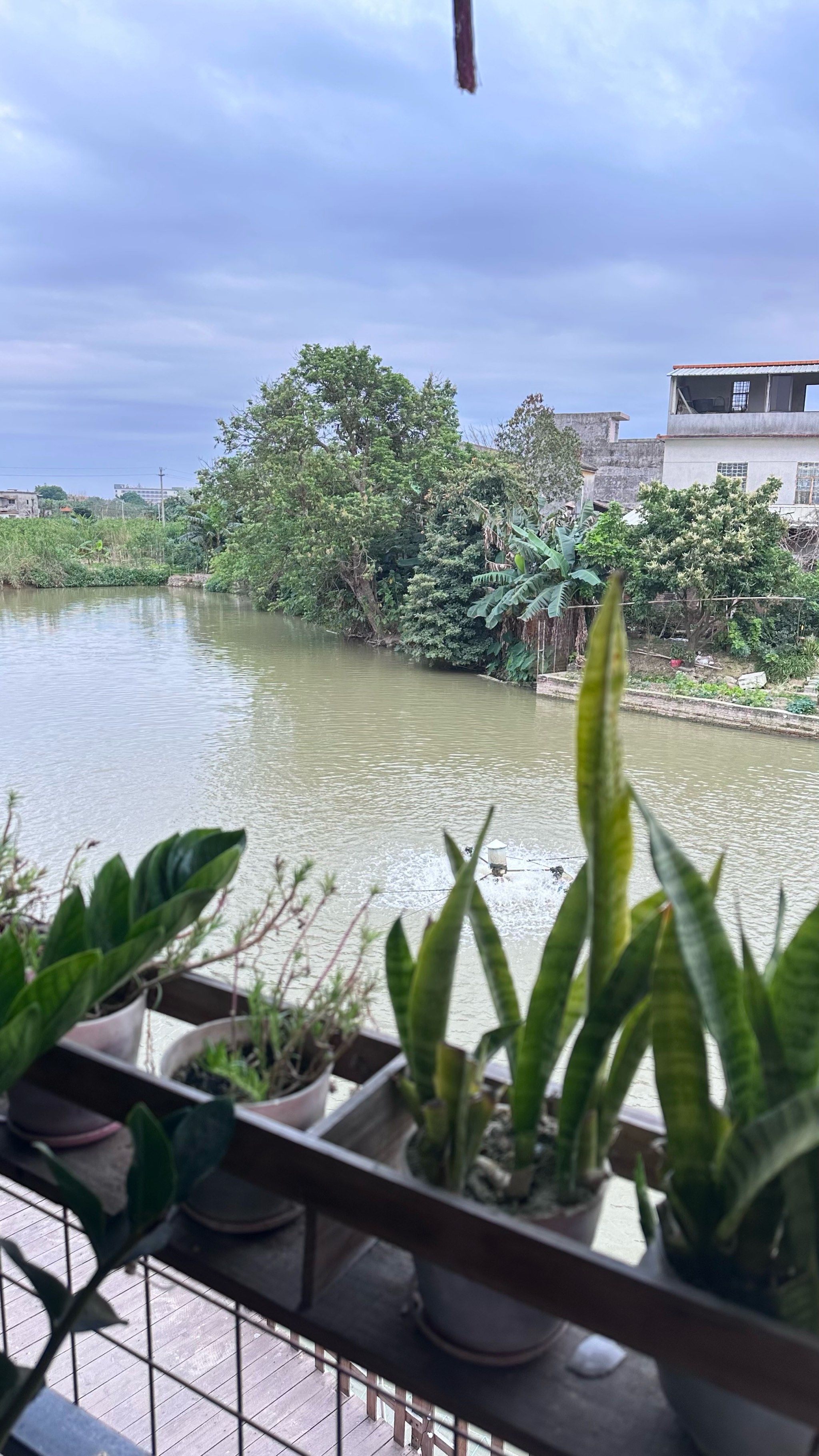 在江门,发现一处依山傍水的乡下农庄[加油]