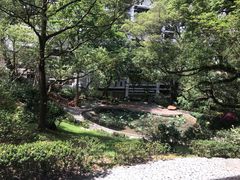-香港大学