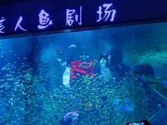 -临沂极地海洋王国