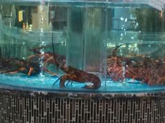 android_upload_pic-上和臻品中国菜(花园街店)