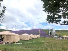 -贵州云顶草原民族风情园