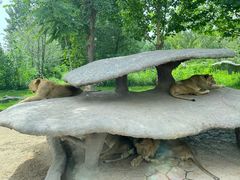 -北京野生动物园