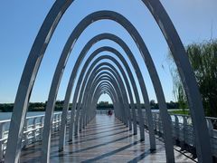 -大兴滨河森林公园