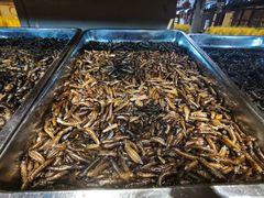 -昆虫窝子·特色云南菜(拓东路总店)