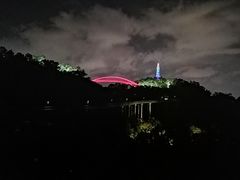 -金鸡山公园