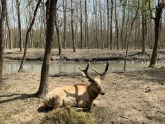 -溱湖国家湿地公园