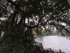 -荔湾湖公园