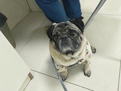 -酷宠动物医院(天通西苑店)