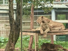 -昆明动物园