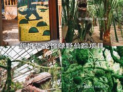 -呀路古热带植物园