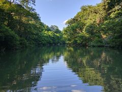 -广西龙虎山风景区