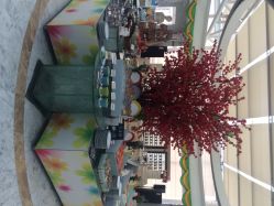 iphone_upload_pic-阳光五洲大酒店·宴会厅