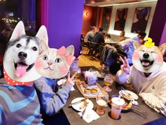 -Boxing Cat Brewery拳击猫精酿啤酒馆(永福店)