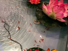 莲花锦鲤-同喜烤鸭店(光芒店)