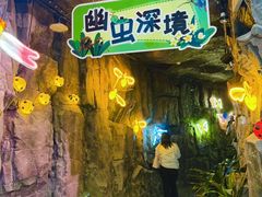 -正佳雨林生态植物园