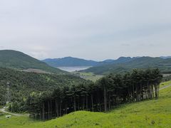 -观音阁水库风景区