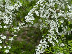 -上海滨江森林公园