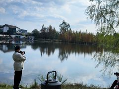 -白鹭湾湿地公园