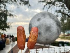 -西涌国际滨海旅游区