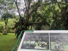 -野象谷景区