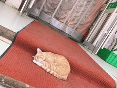 -阿叶羊杂碎(前进街店)