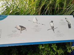 -白鹭湾湿地公园