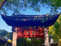 -汇龙潭