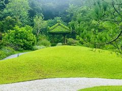 -云溪植物园