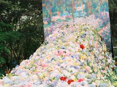 -上海共青森林公园