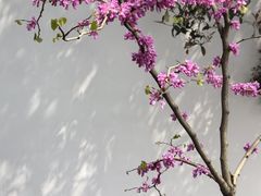 -东坡赤壁风景名胜区