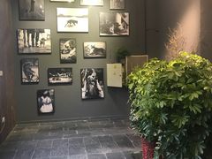 -百好乐宠物友好餐厅(朝外大街店)