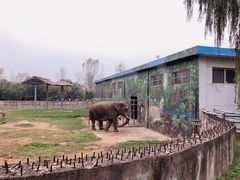 -西安秦岭野生动物园