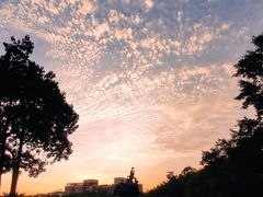 -广州雕塑公园