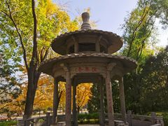 -玲珑塔公园