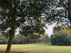 -莲花岛景区