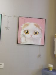 -洗脸猫·洗脸吧