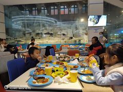 -帝企鹅自助餐厅•儿童岛•真企鹅(长隆企鹅酒店)