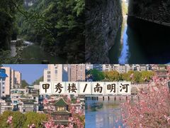 -黔灵山公园