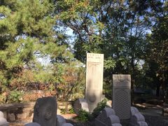 -北京鹫峰国家森林公园