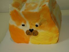 猫咪蛋糕-随心小姐