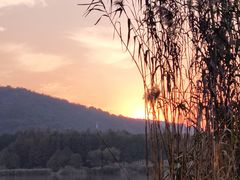 -长广溪湿地公园