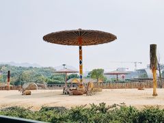 -杭州野生动物世界