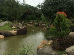 -八仙山公园