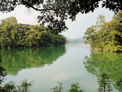 -广州市流溪河国家森林公园