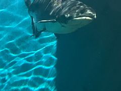 -秦皇岛新澳海底世界