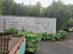 -陈家山荷花公园