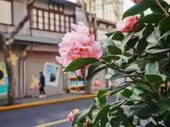 -lululemon(新天地店)