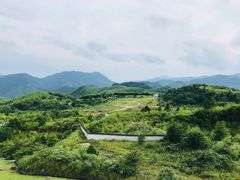 -江南天池