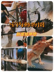 -酷嗒动物文化乐园(cutezoo西溪乐天城店)