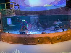 -沈阳海洋探索中心